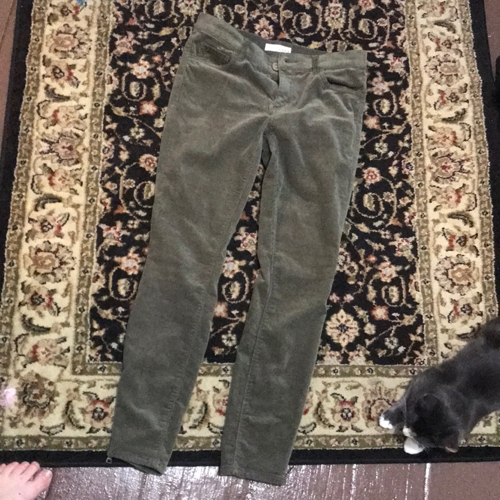 corduroy green loft pants with zippers at ankle